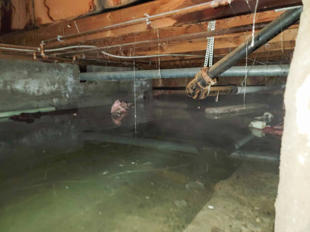 Reliable NY Water damage restoration Solutions