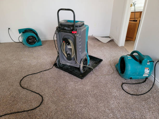 Best Local water damage restoration  in Westhampton Beach, NY