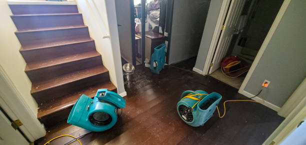 Best Mold removal after water damage  in Westhampton Beach, NY