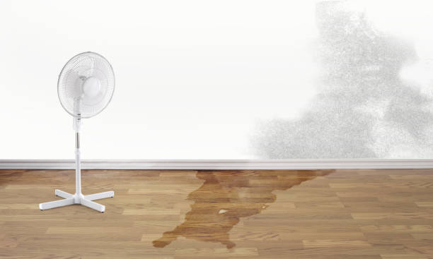 Best Ceiling water damage repair  in Westhampton Beach, NY