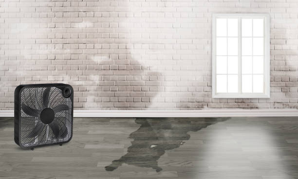 Best 24-hour water damage restoration  in Westhampton Beach, NY