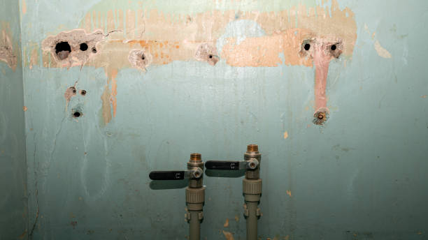 Best Fire Damage Restoration  in Westhampton Beach, NY
